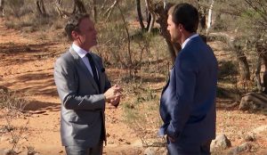 Best Tweets and Memes About The Bachelor Finale